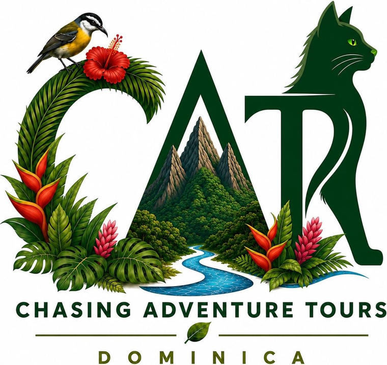 Chasing Adventure Tours — Dominica