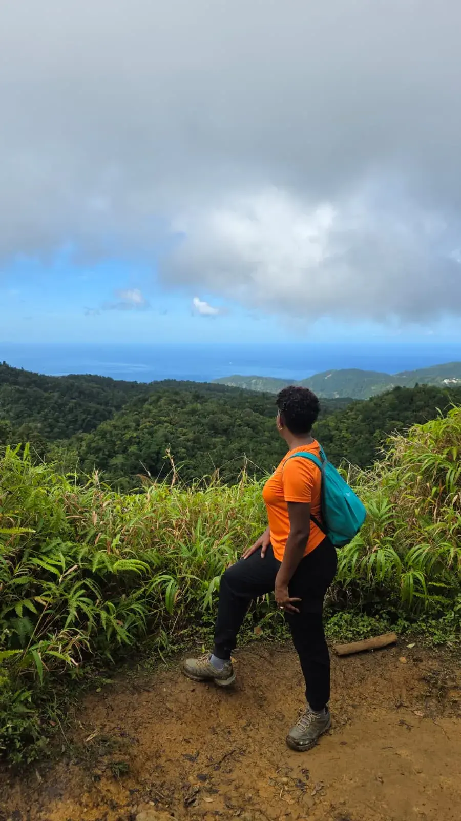 Hiker taking in the valley views on the Boiling Lake trek