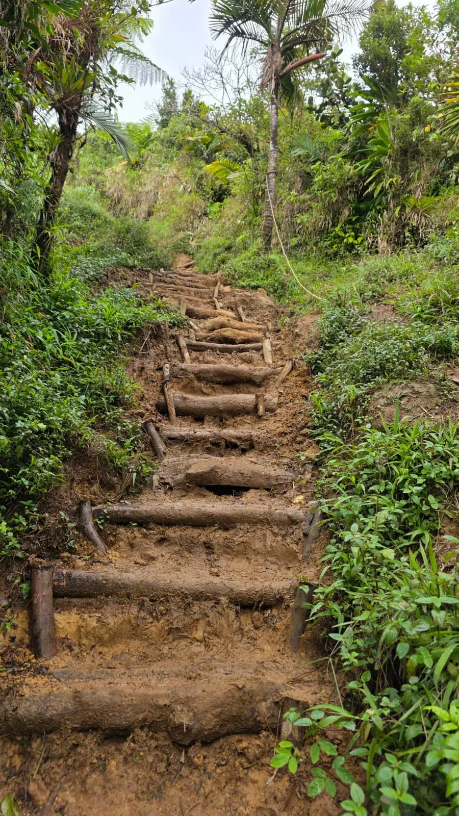 The steep stone staircase on the Boiling Lake trail
