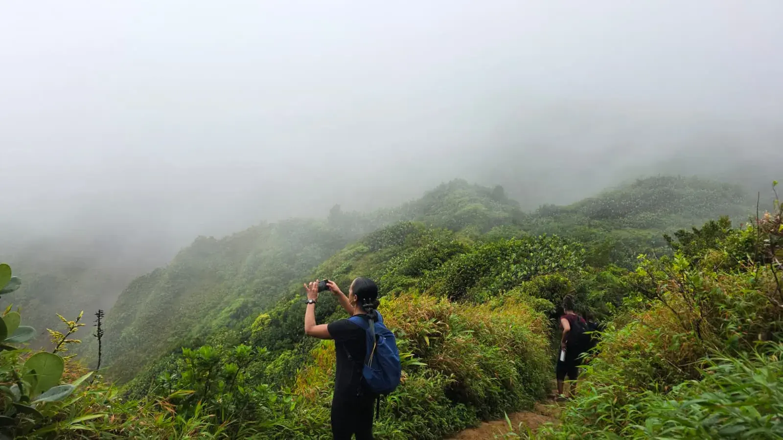 Misty rainforest views along the Boiling Lake hike