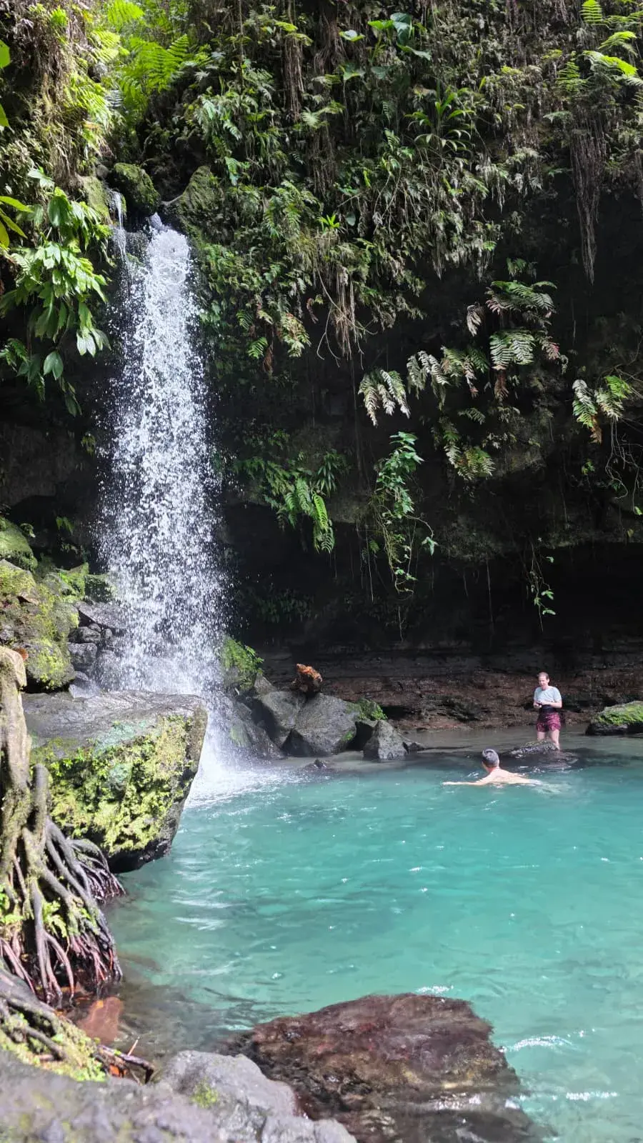 Swimmers in a turquoise pool below a waterfall