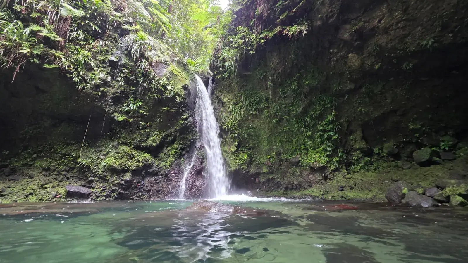 Waterfall cascading down a mossy cliff