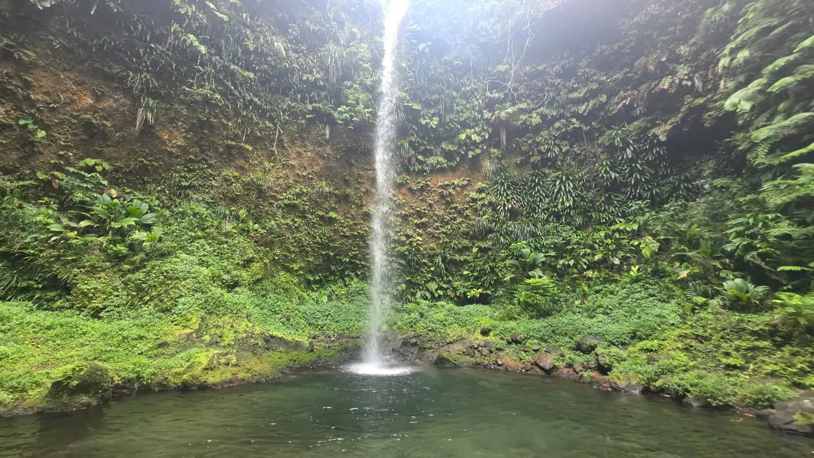Tall thin waterfall falling into a clear pool