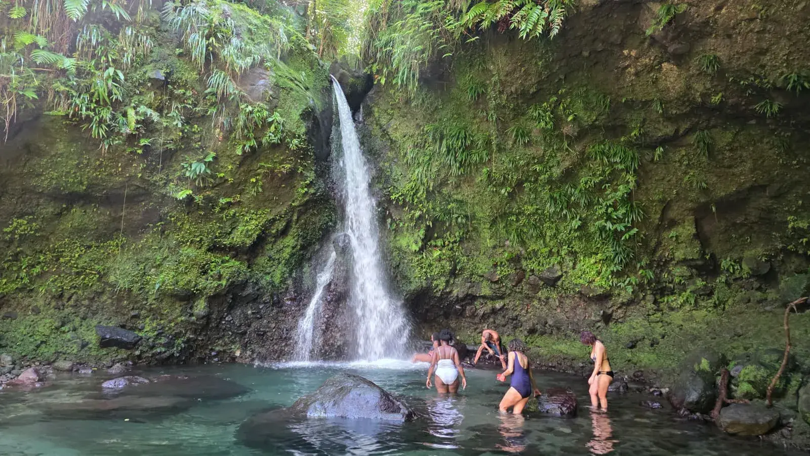 A rainforest waterfall pouring into an emerald pool with swimmers