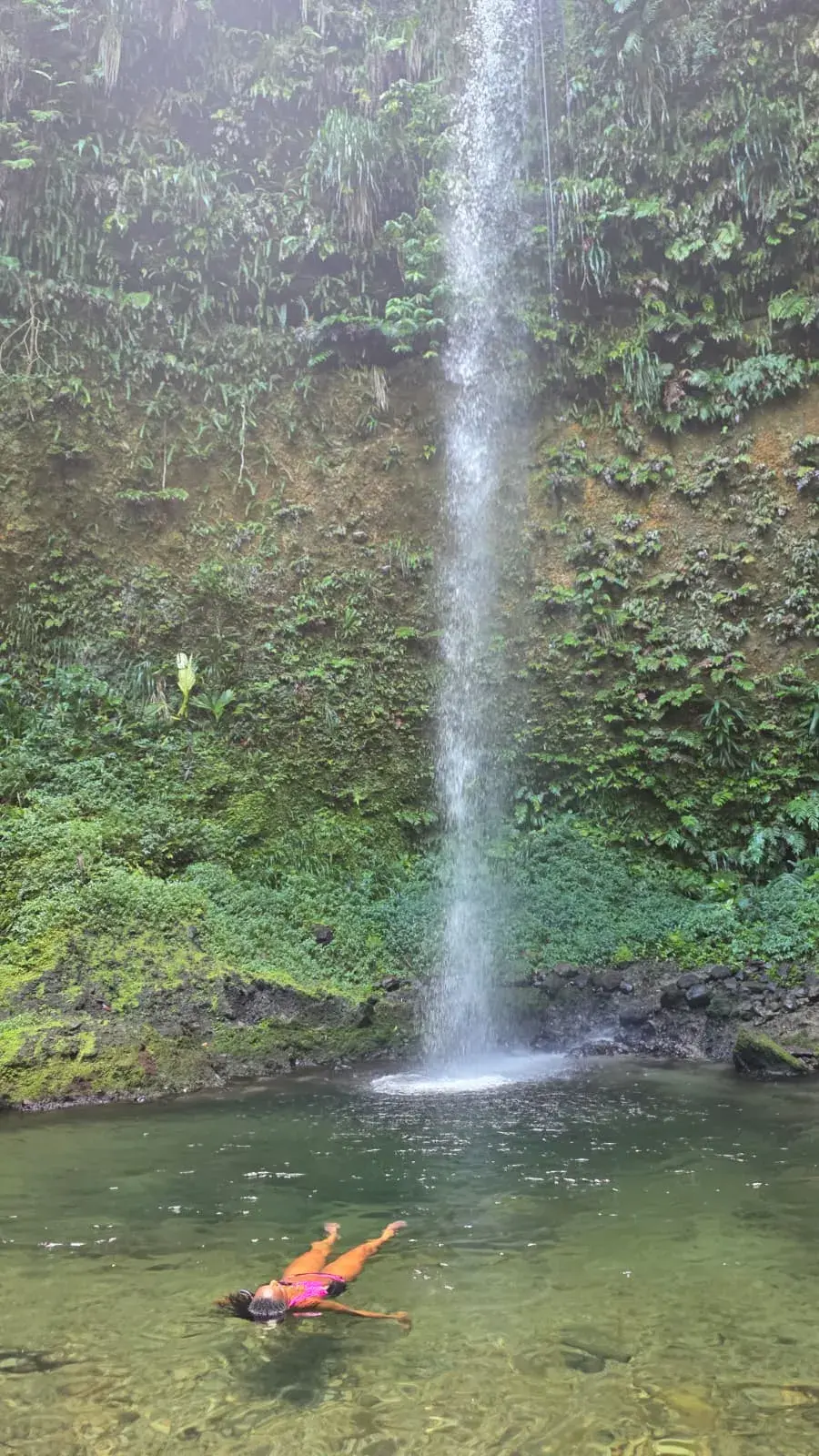 A classic Dominica waterfall and green plunge pool