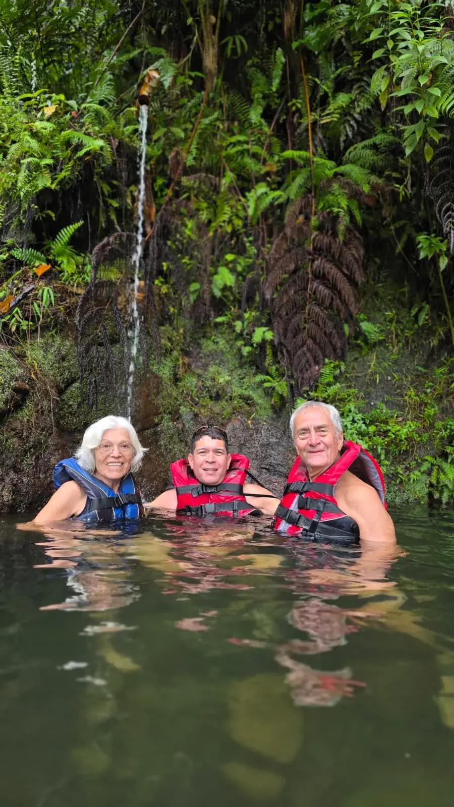 Guests swimming in a cool emerald rainforest pool